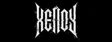 网站制作中英文的个性化表现