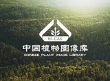 建站前先了解企业网站电子商务网站个人网站等分类