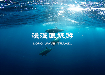 漫漫浪是帕劳旅游网站案例欣赏