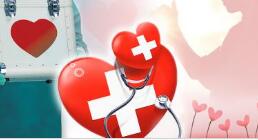 北京盛世京华生物科技有限公司网站完成