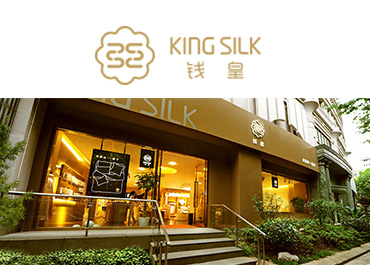 钱皇丝绸网站案例赏析