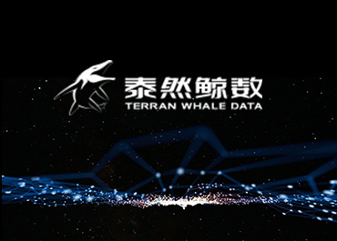 泰然鲸数科技行业网站案例欣赏