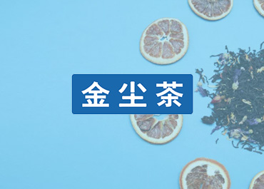 北京金尘集团官网制作案例赏析