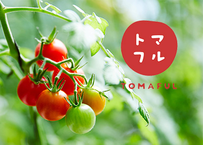 农业产品网站制作案例欣赏