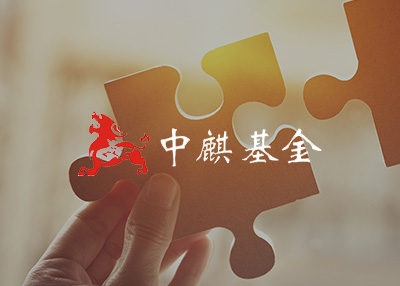 投资理财网站制作设计案例欣赏