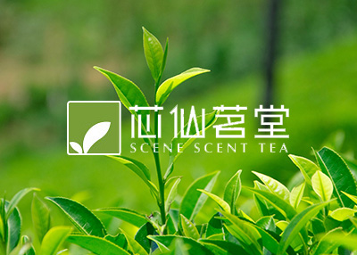 茶叶官网网站开发案例欣赏