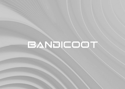 箱包配饰网站建设案例欣赏