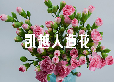 电商花店网站设计开发案例欣赏