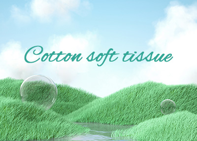 电商纸巾网站制作案例欣赏