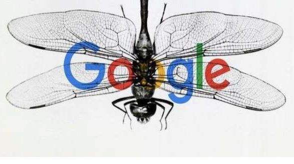 中国版Google搜索