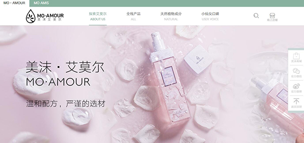 化妆品行业网站应包含哪些功能模块