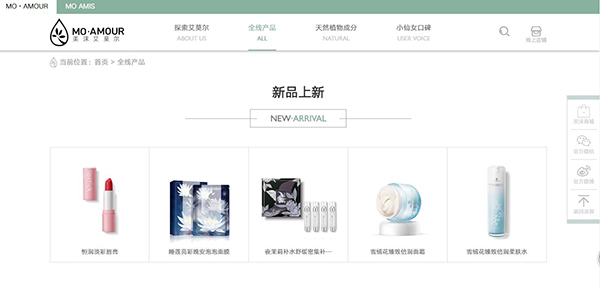 化妆品行业网站应包含哪些功能模块